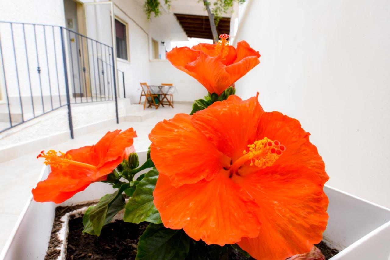 B&B Macchia Mediterranea San Pietro in Bevagna Exterior foto